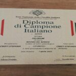 Diploma-Campione-Italiano-DELIRIUM